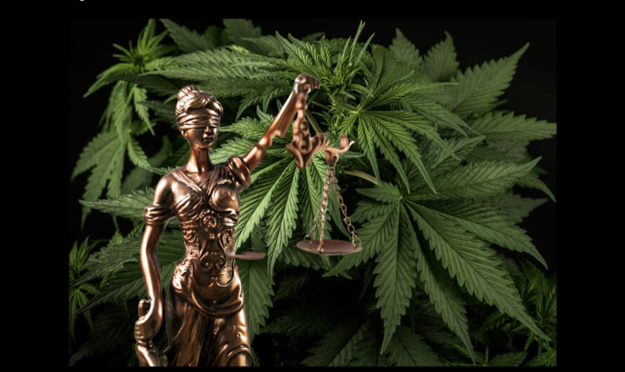 8 Facts About Cannabis Laws and Regulations
